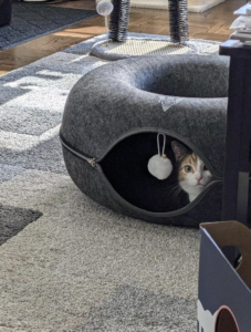 felt cat tunnel bed