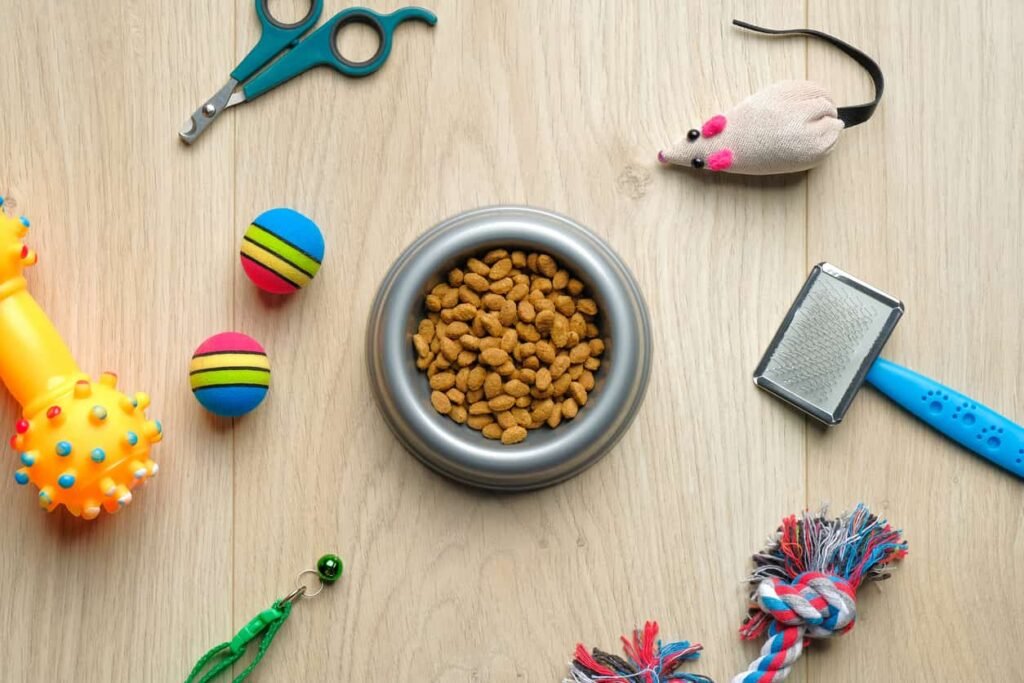 Cat Stuff on Amazon: 5 Best Picks for Your Cat