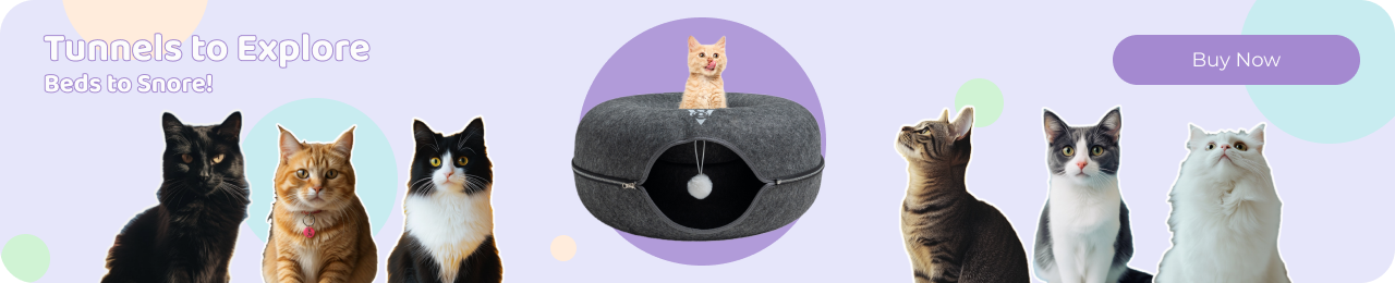 cat tunnel bed banner